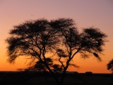Namibia, Hochzeit, Reise, Bilder, Fotos - img_6939.jpg